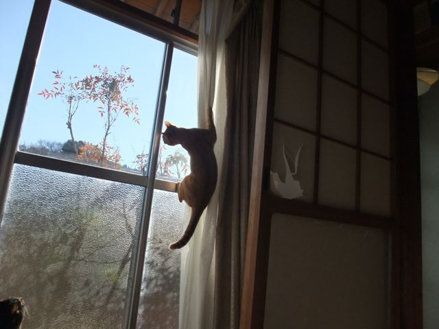 DSCF4351.jpg