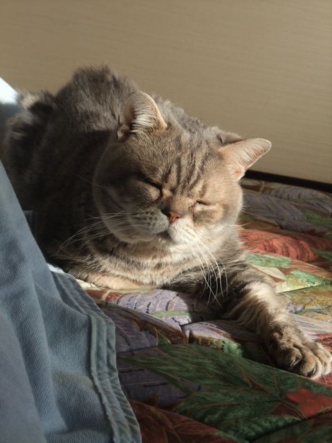 DSCF4359.jpg