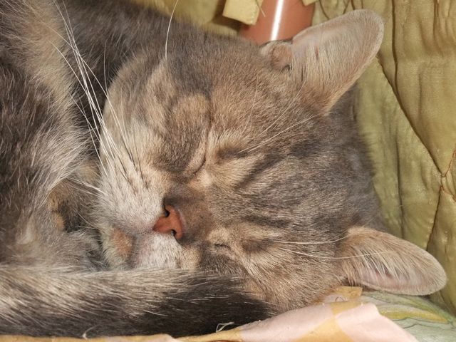 DSCF5595.jpg