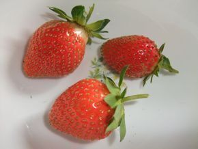 DSCF8363.jpg