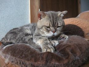 DSCF8379.jpg