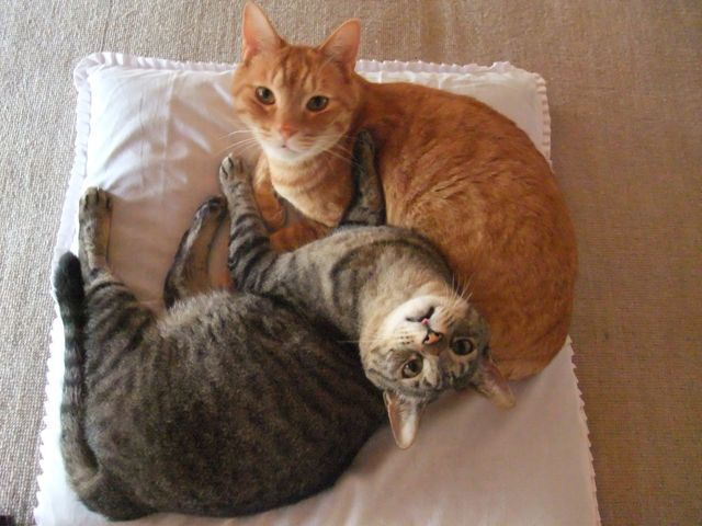 DSCF8381.jpg