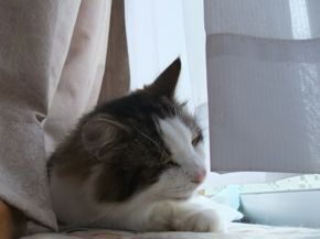 DSCF8392.jpg
