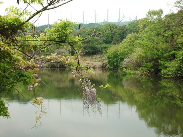 DSCF8562.jpg