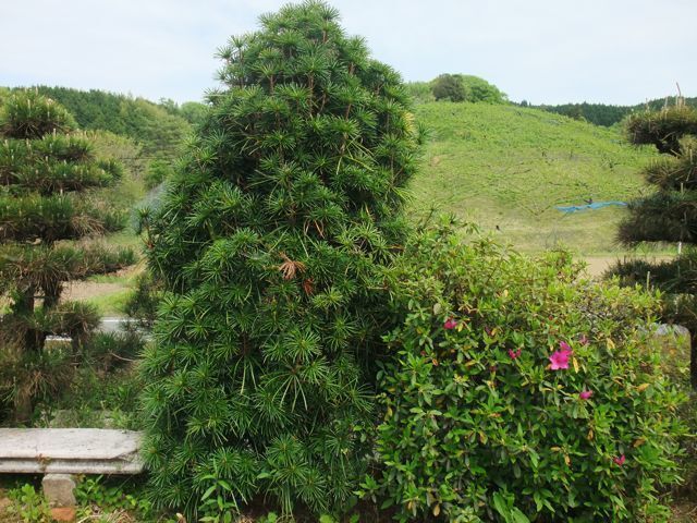 DSCF8610.jpg