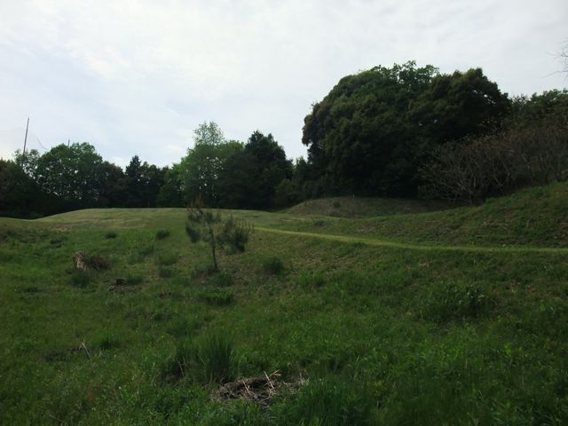 DSCF8639.jpg
